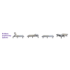 Permobil, Resten Select Adjustable Home Comfort Bed - Image 4