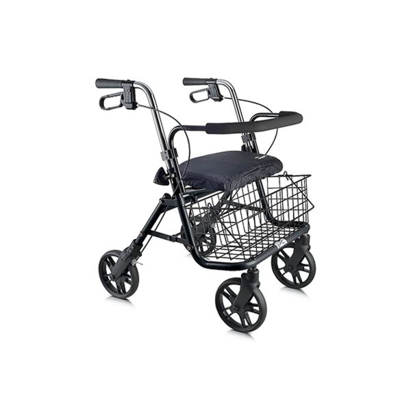 Evolution, Evo Series Walker - Image 3