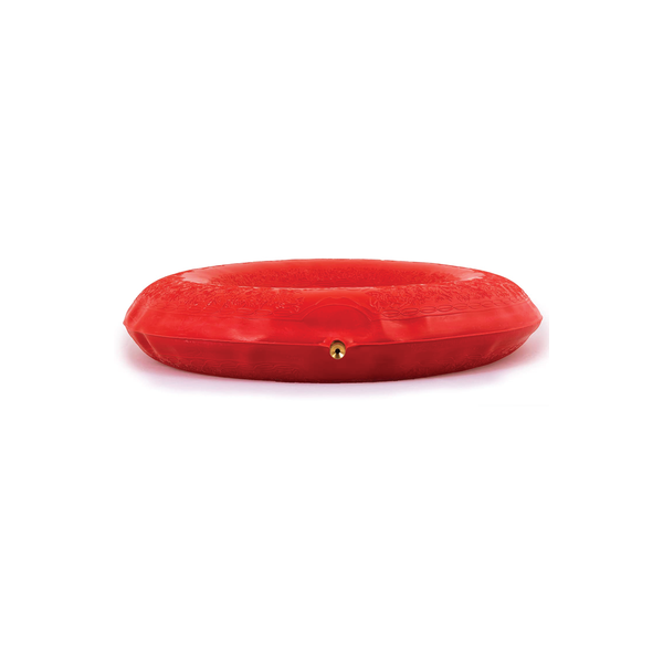 Carex, Inflatable Rubber Ring, FGP703CA - Image 5