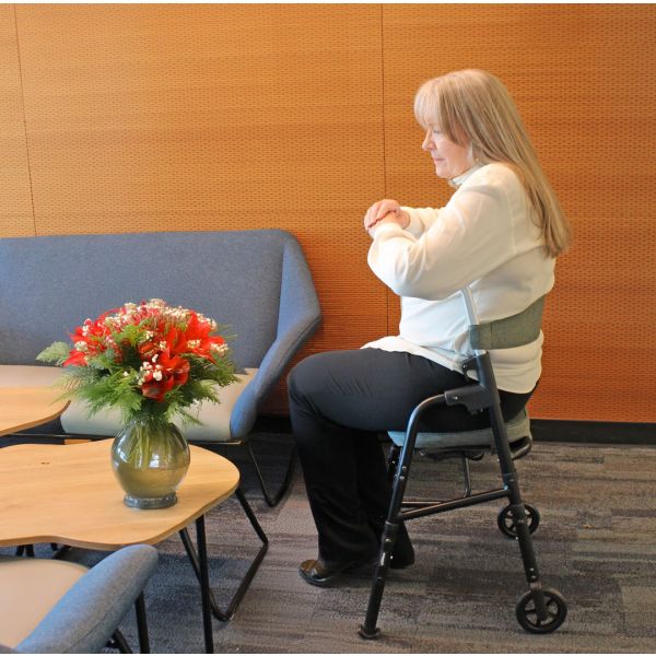 Triumph, Essentials Travel Walker, 700-1000 - Image 9