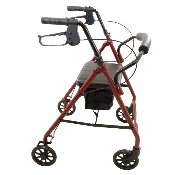 ProBasics, Steel Rollator with 6" Wheels, RLS6BG - Image 3