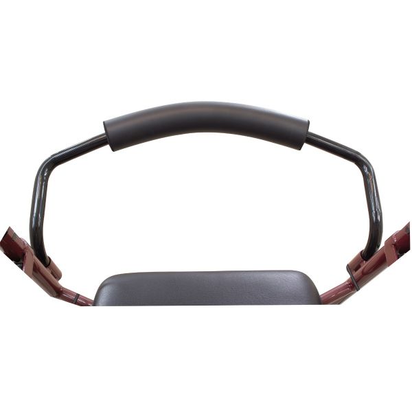 ProBasics, Steel Rollator with 6" Wheels, RLS6BG - Image 5