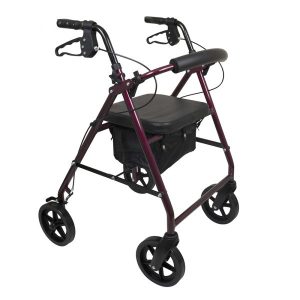ProBasics, Deluxe Aluminum Rollator with 8-inch Wheels, RLA8