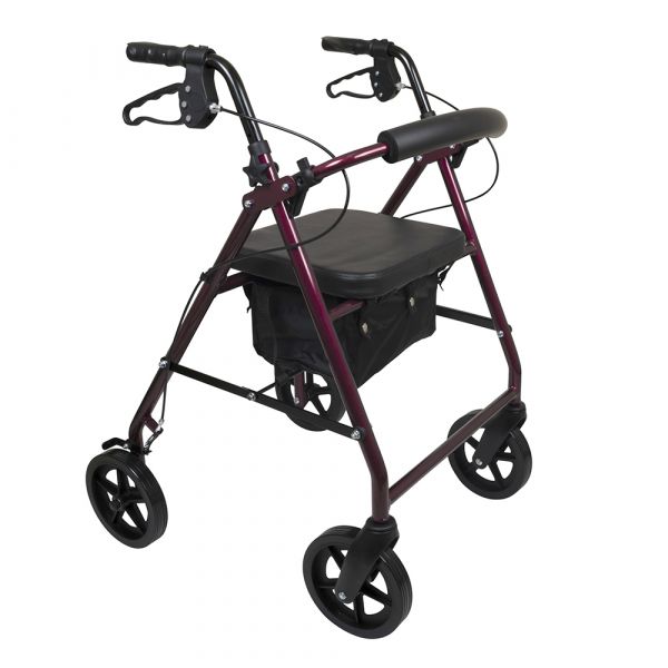 ProBasics, Deluxe Aluminum Rollator with 8-inch Wheels, RLA8