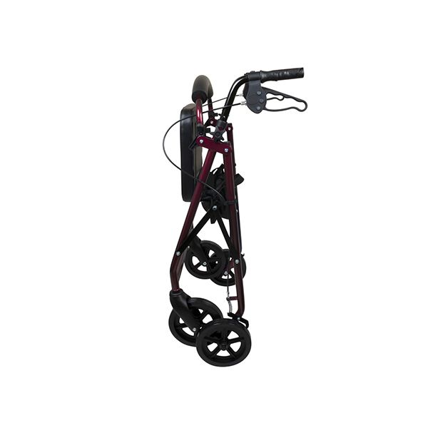 ProBasics, Deluxe Aluminum Rollator with 8-inch Wheels, RLA8 - Image 5