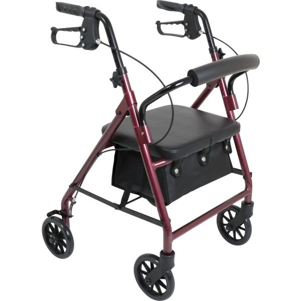 ProBasics, Junior Rollator with 6-inch Wheels, RLAJ6 - Image 2