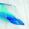 MOBB, Bed Protector Pads, BP2436 - Image 2