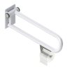 HealthCraft, PT Rail - Toilet Roll Holder, PT-TRH