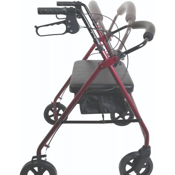 ProBasics, Bariatric Rollator with 8-inch Wheels, RLAB8BG - Image 4