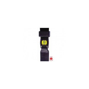 Parsons, Auto Buckle Seat Belt, 16C021