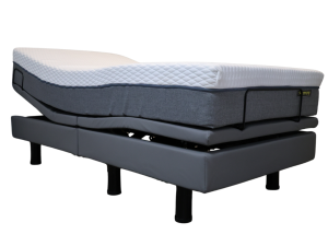 Harmony, Hi-Low Adjustable Bed, HHL