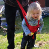Handicare, WalkingBelt, 6041, 6042 - Image 3