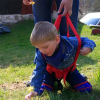 Handicare, WalkingBelt, 6041, 6042 - Image 4